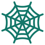 spider-web spider web icon
